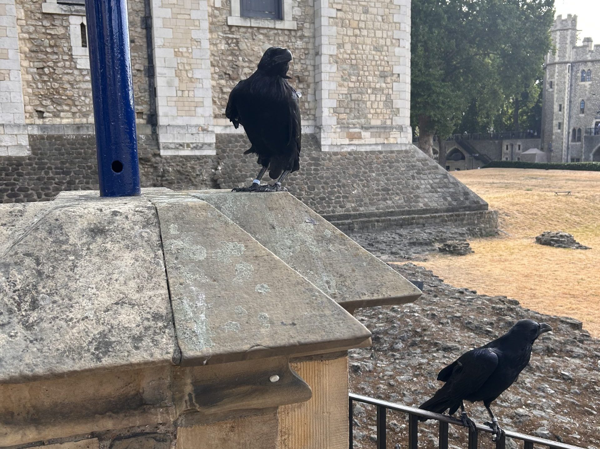 Ravens, Skate Parks, and Six Hours in a Castle: A Very Full Day in London
